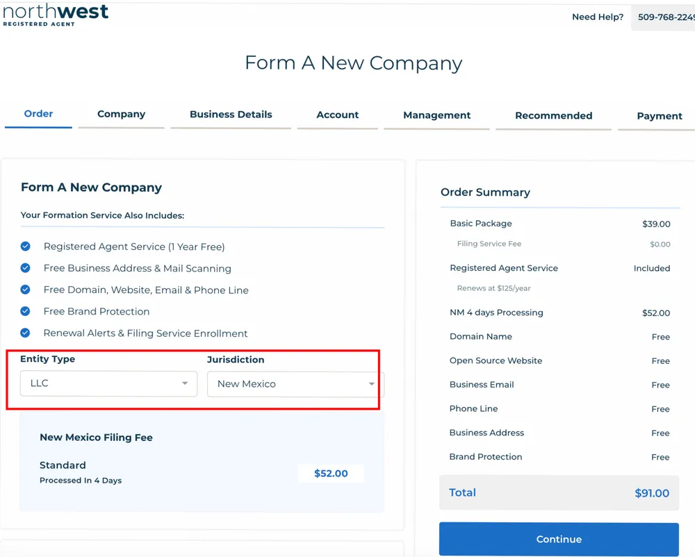 Choosing LLC as the entity type and confirming state filing fees